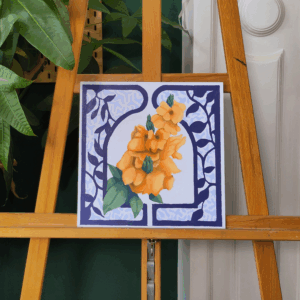 Crossandra: El desorden perfecto del balcón